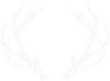 style scandinave